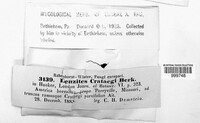 Image Associated With the Occurence